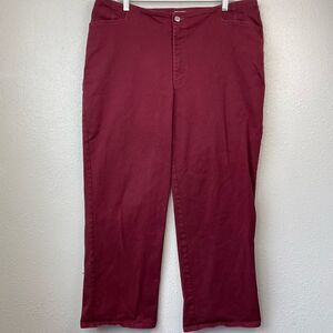 Dream Jeans Size 18P EUC
